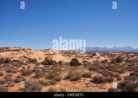 Eine weitläufige Ansammlung versteinerter Felsdünen. Im Hintergrund kann man das La sal-Gebirge sehen. Stockfoto