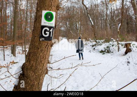 Die Kölner Grün Stiftung finanziert mit 40 000 Euro die App mein Grün Gürtel Rundweg. Eine Karte zeigt den 63 km langen Rundweg durch den Äußeren Grüngürtel, einmal rund um Köln. Köln *** die Kölner Grüne Stiftung fördert die App My Green Belt Circular Trail mit 40.000 Euro Eine Karte zeigt den 63 km langen Rundweg durch den Äußeren Grünen Gürtel, einmal um Köln herum Stockfoto