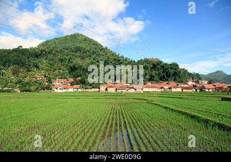 Ackerland in Soreang bei Ciwidey in West-Java, Indonesien Stockfoto