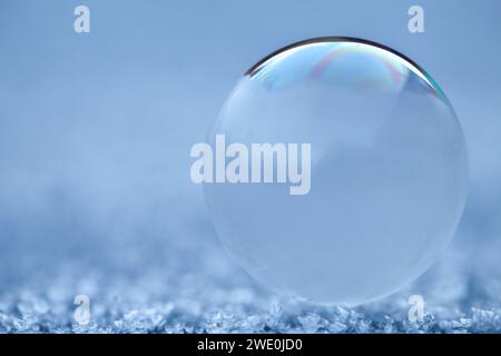 Eine halbgefrorene Blase, die Fantasie und atemberaubende Schönheit weckt, während die Natur diese Transformation und Magie schafft Stockfoto