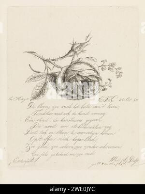 A Rose and Forget-me-Notes, Elisabeth Johanna Koning, 1850 Print Studie einer geschnittenen Rose, mit einer Blume und einem Knopf, und Vergissmeinnots. Unter dem Bild befindet sich eine achtzeilige Strophe. Das Haager Papier ätzt Blumen. Blumen: Rose Stockfoto