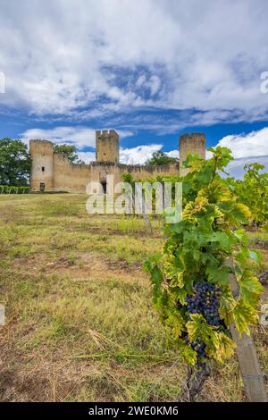 Burg Budos (Chateau de Budos) in der Weinregion Sauternes, Departement Gironde, Aquitaine, Frankreich Stockfoto