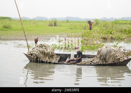 Ländliche Landschaft von Bangladesch, zwei asiatische Bauern ziehen Fasern aus gerösteten Jutepflanzen und reinigen sie im Wasser, (22-09-2022) Stockfoto