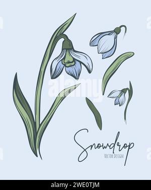 Strichgrafik-Set der botanischen Illustration von Schneeglöckchen. Blumengruppe oder Hochzeitseinladung und Karten, Logo-Design, Web, soziale Medien und Poster, templ Stock Vektor