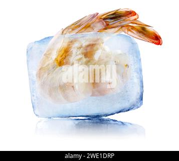 Tiefkühlkost. Rohe Garnelen in Eiswürfeln isoliert auf weiß Stockfoto