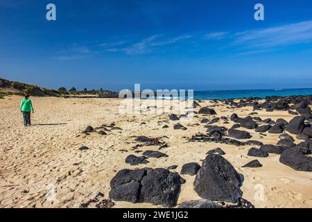 Schwarze Felsen verstreut am Sandstrand von Griffiths Island of Port Fairy in Victoria, Australien. Stockfoto