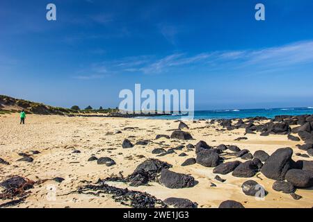 Schwarze Felsen verstreut am Sandstrand von Griffiths Island of Port Fairy in Victoria, Australien. Stockfoto