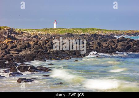 Die zerklüftete, felsige Küste von Griffiths Island mit dem Port Fairy Lighthouse im Hintergrund in Victoria, Australien. Stockfoto