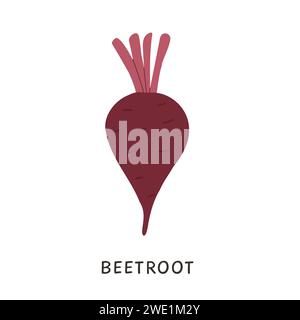 Vektor Rote Rüben ohne Blatt Illustration. Rote Bete im Cartoon-Stil isoliert auf weißem Hintergrund. Gesundes Bio-Gemüse ohne Blätter für Vegeteri Stock Vektor