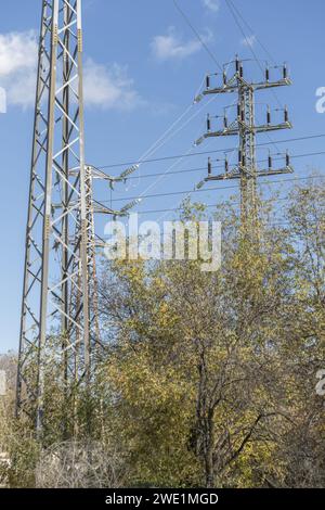 Hochspannungstürme, die Kabel in der Mitte eines Waldes transportieren Stockfoto