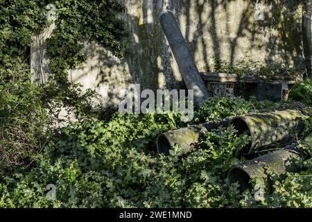 Rohrstücke für den Rohrleitungsbau wurden in der Mitte des Unterholzes aufgegeben Stockfoto
