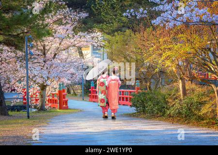 Kyoto, Japan - 1. April 2023: Präfekturaler Uji Park mit voller Kirschblüte ist das Symbol der Stadt Uji mit schöner Landschaft der Stadt und PR Stockfoto