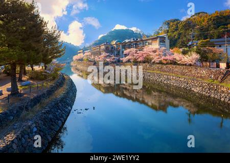 Kyoto, Japan - 1. April 2023: Präfekturaler Uji Park mit voller Kirschblüte ist das Symbol der Stadt Uji mit schöner Landschaft der Stadt und PR Stockfoto