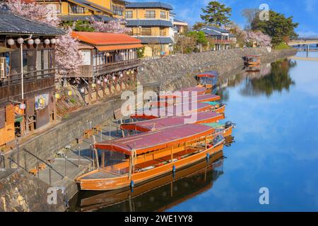 Kyoto, Japan - 1. April 2023: Präfekturaler Uji Park mit voller Kirschblüte ist das Symbol der Stadt Uji mit schöner Landschaft der Stadt und PR Stockfoto