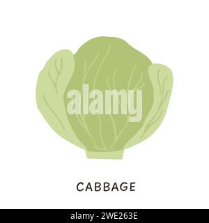 Weißkohl-Vektor-Illustration. Bio-Gemüse der Saison mit Blättern in flachem Stil. Öko Farm frische Lebensmittel für einen gesunden Lebensstil isoliert auf weiß. Stock Vektor