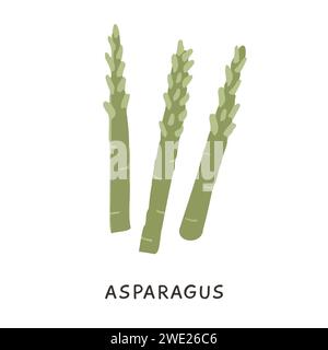 Grüne Spargelstämme isoliert auf weiß. Rohes frisches Gemüse. Handgezeichnete Vektorgrafik. Zutat für die mediterrane Küche. Flaches Symbol der Orga Stock Vektor