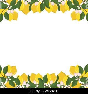 Eine Grenze aus Zitronenzweigen und Zitronen. Zusammensetzung von Zitrusfrüchten. Vektorillustration auf weißem Hintergrund isoliert. Stock Vektor