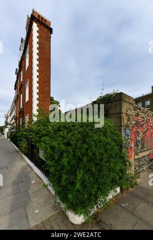 The Thin House in South Kensington, London, Großbritannien. In seiner dünnsten Breite ist das Gebäude nur etwa einen Meter mehr. Stockfoto