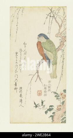 Papegaai in een Pruimenboom, Kitao SHIGEMASA, C. 1805 -C. 1810 Ein Papagei in einem Pflaumenbaum, unter einer Pfingstrose. Auf der linken Seite ein Gedicht. Japanisches Papier farbiger Holzschnitt Stockfoto