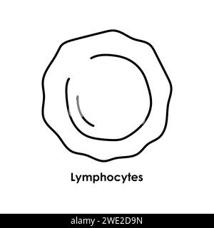 Farbsymbol für Lymphozyten. Weiße Blutkörperchen in den Gefässen. Vektor-isolierte Abbildung. Stock Vektor