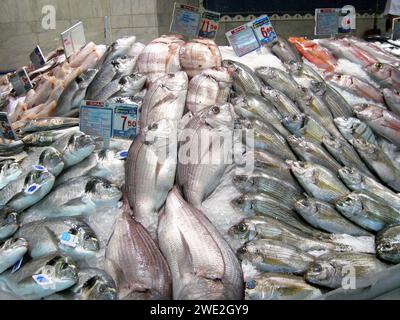 Fischverkauf im Supermarkt Padilla am 18.01.2008 in Morro Jable auf Fuerteventura-Sued. *** Fischverkauf im Supermarkt Padilla am 18 01 2008 in Morro Jable auf Fuerteventura Süd Stockfoto