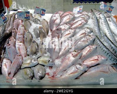 Fischverkauf im Supermarkt Padilla am 15.01.2008 in Morro Jable Fuerteventura-Sued. *** Fischverkauf im Supermarkt Padilla am 15 01 2008 in Morro Jable Fuerteventura Süd Stockfoto