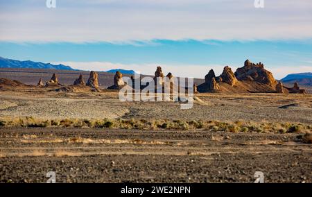 Trona, Kalifornien, USA. Januar 2024. Die Trona Pinnacles sind ein einzigartiges geologisches Merkmal in der California Desert Conservation Area. Die ungewöhnliche Landschaft besteht aus mehr als 500 Tufftürmen, von denen einige bis zu 140 Meter hoch sind, die sich aus dem Bett des Searles Dry Lake-Beckens erheben. Die Pinnacles wurden vor 10.000 bis 100.000 Jahren gegründet. Quelle: Katrina Kochneva/ZUMA Wire/ZUMAPRESS.com/Alamy Live News Stockfoto