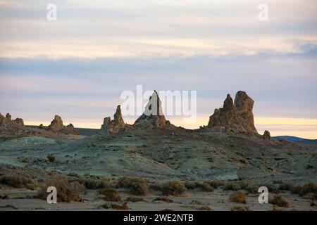 Trona, Kalifornien, USA. Januar 2024. Die Trona Pinnacles sind ein einzigartiges geologisches Merkmal in der California Desert Conservation Area. Die ungewöhnliche Landschaft besteht aus mehr als 500 Tufftürmen, von denen einige bis zu 140 Meter hoch sind, die sich aus dem Bett des Searles Dry Lake-Beckens erheben. Die Pinnacles wurden vor 10.000 bis 100.000 Jahren gegründet. Quelle: Katrina Kochneva/ZUMA Wire/ZUMAPRESS.com/Alamy Live News Stockfoto