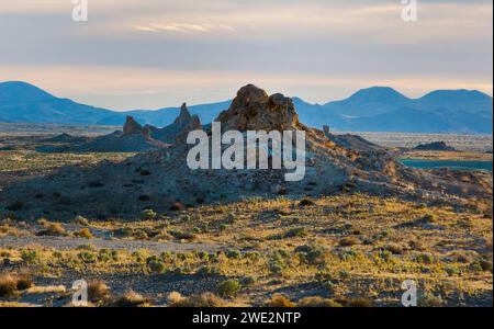 Trona, Kalifornien, USA. Januar 2024. Die Trona Pinnacles sind ein einzigartiges geologisches Merkmal in der California Desert Conservation Area. Die ungewöhnliche Landschaft besteht aus mehr als 500 Tufftürmen, von denen einige bis zu 140 Meter hoch sind, die sich aus dem Bett des Searles Dry Lake-Beckens erheben. Die Pinnacles wurden vor 10.000 bis 100.000 Jahren gegründet. Quelle: Katrina Kochneva/ZUMA Wire/ZUMAPRESS.com/Alamy Live News Stockfoto