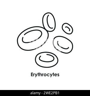 Farbsymbol für Erythrozyten. Erythrozyten in den Gefässen. Vektor-isolierte Abbildung. Stock Vektor