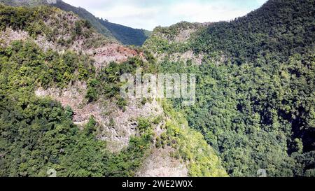 lorbeerwald im Wandergebiet „los tilos“ auf der Insel La Palma (Spanien) Stockfoto