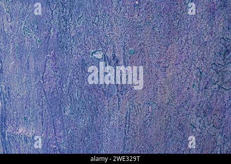 Abstrakter rosa strukturierter Naturholzhintergrund Stockfoto