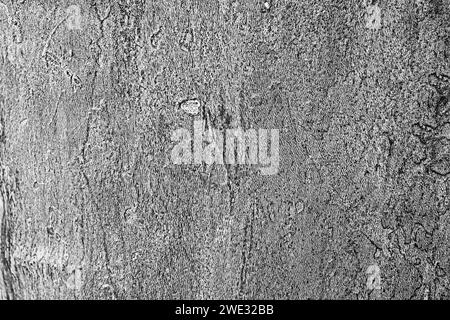 Abstrakter rosa strukturierter Naturholzhintergrund Stockfoto