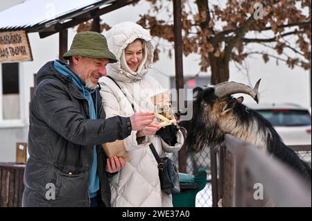 Nicht exklusiv: LWIW, UKRAINE - 21. JANUAR 2024 - die Menschen füttern eine Ziege im Schewtschenkiwskyi Hai (Schewtschenko-Hain) auf dem Gebiet des Klymentii-Schäfts Stockfoto