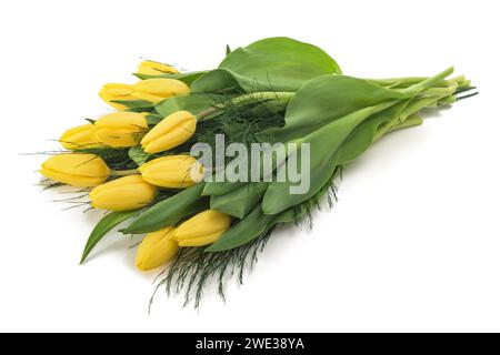 Gelbe Tulpen Blumen Haufen isoliert auf weißem Hintergrund Stockfoto