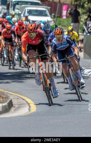 Ein Fahrer von Ineos Grenadiers führt das Feld auf die Main Street bei Crafers in South Australia während der 6. Etappe der Tour Down Under. Stockfoto