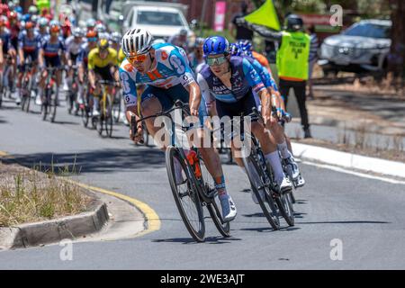 Ein Fahrer von DSM-Firmenich PostNL führt das Feld während der 6. Etappe der Tour Down Under an, als er in Crafers in South Australia auf die Main Street fährt Stockfoto