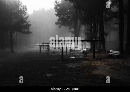 Leere Schaukel auf einem Spielplatz in einem nebeligen Wald auf der Insel La Palma (Spanien) Stockfoto