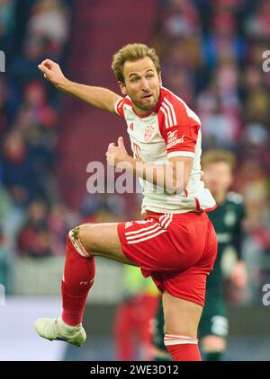 Harry Kane, FCB 9 im Spiel FC BAYERN MÜNCHEN - WERDER BREMEN 0-1 am 21. Januar 2024 in München. Saison 2023/2024, 1.Bundesliga, FCB, München, Spieltag 18, 18.Spieltag © Peter Schatz / Alamy Live News - DFL-VORSCHRIFTEN VERBIETEN DIE VERWENDUNG VON FOTOGRAFIEN als BILDSEQUENZEN und/oder QUASI-VIDEO - Stockfoto