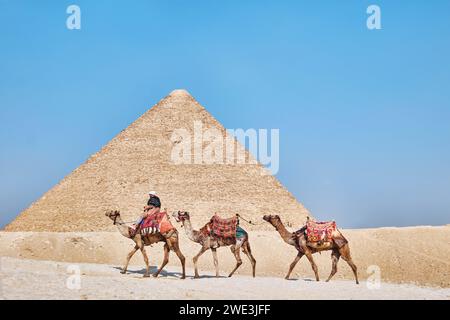 Gizeh, Ägypten - 24. Dezember 2023: Die große Pyramide Khufu (Cheops-Pyramide) ist die älteste und größte der drei Pyramiden in Gizeh mit Kamelen Stockfoto