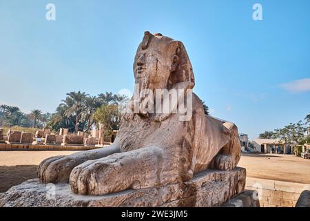 Memphis, Ägypten – 2. Januar 2024: Eine Alabaster-Sphinx in den Ruinen von Memphis, einst die antike Hauptstadt des Alten Königreichs Ägypten Stockfoto