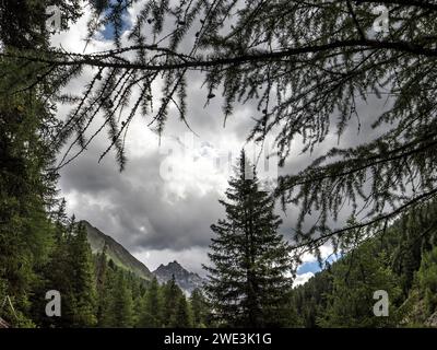 Im Val Trupchun Gemeinde S-chanf am 05.07.2023. Stockfoto