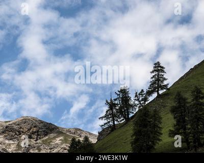 Im Val Trupchun Gemeinde S-chanf am 05.07.2023. Stockfoto