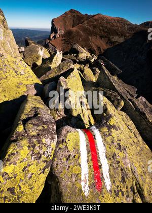 Felsblöcke mit Bergwanderweg-Markierung auf dem Trogehorn (1973m.ü.M.) in der Gemeinde Habkern am 10.11.11. Die Felsblöcke sind von der gelben Landkar Stockfoto