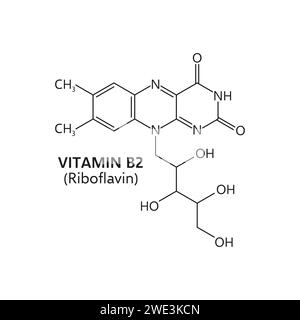 Vitamin b2, Riboflavin Molekülformel, Vektorstruktur c17h20n4o6 besteht aus einem zentralen Benzolring mit einer Ribitol-Seitenkette, die für den Energiestoffwechsel im Körper und die Gewebeerhaltung essentiell ist Stock Vektor