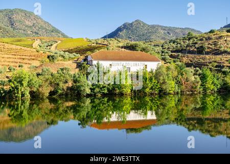 Quinta do Lubazim mit Olivenhainen und Weinbergen entlang des Flusses Douro, Portugal, Europa. Stockfoto