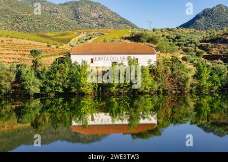 Quinta do Lubazim mit Olivenhainen und Weinbergen entlang des Flusses Douro, Portugal, Europa. Stockfoto