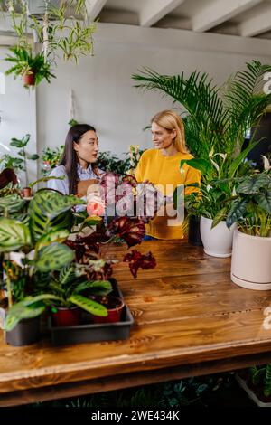 Vertikal einer mitteladulten kaukasischen blonden Frau, die Blumen von einer asiatischen Frau in einem Blumenladen kauft. Kleinunternehmer und Pflanzenpflegekonzept. Stockfoto