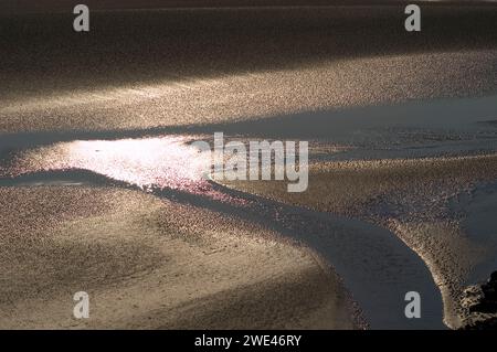 Ein abendlicher Blick über den Sand von Morecambe Bay vom National Trust Hotel Jack Scout. (14,6,2003) Stockfoto