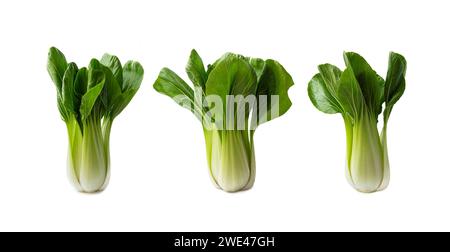 Pak Choi Kohl isoliert auf weißem Hintergrund. Frischer chinakohl auf weiß. Set pak Choi. Stockfoto